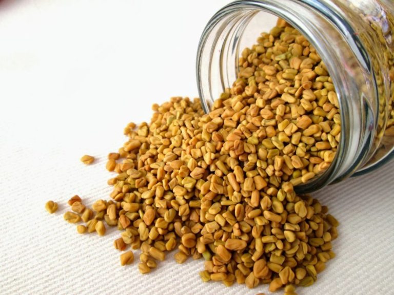 Benefits of Fenugreek for Hair » Men's Guide