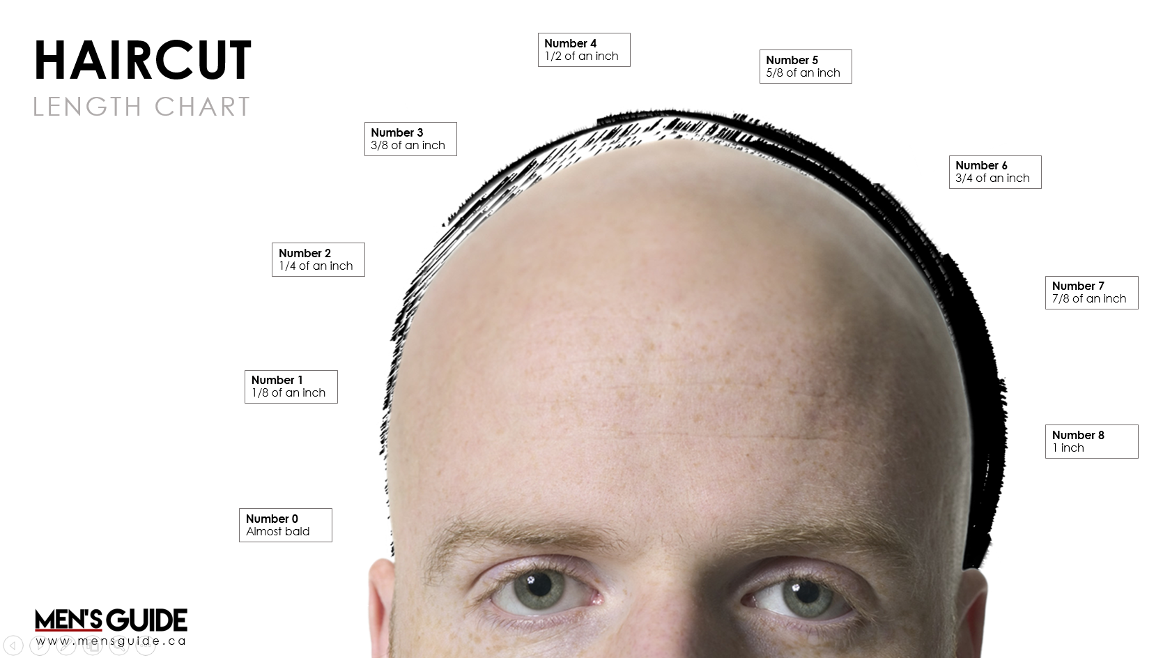 barber trimmer sizes