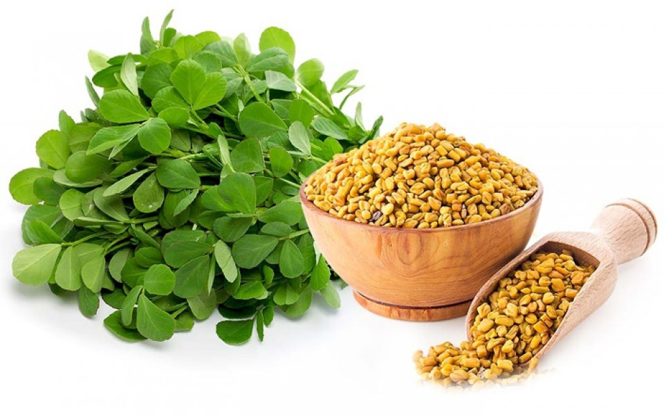 Fenugreek Benefits For Men Men s Guide