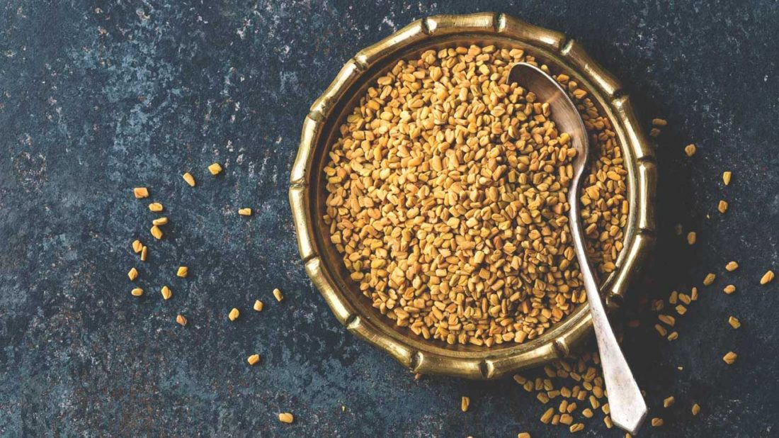 Fenugreek Benefits for Men » Men's Guide