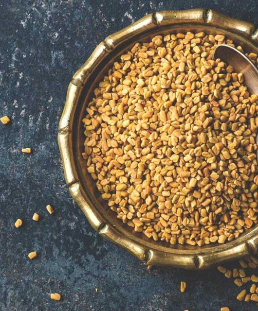 Benefits of Fenugreek for Hair » Men's Guide