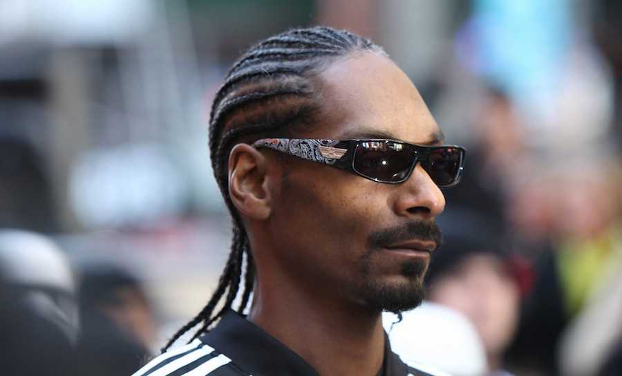 snoop dogg 2 braids for men