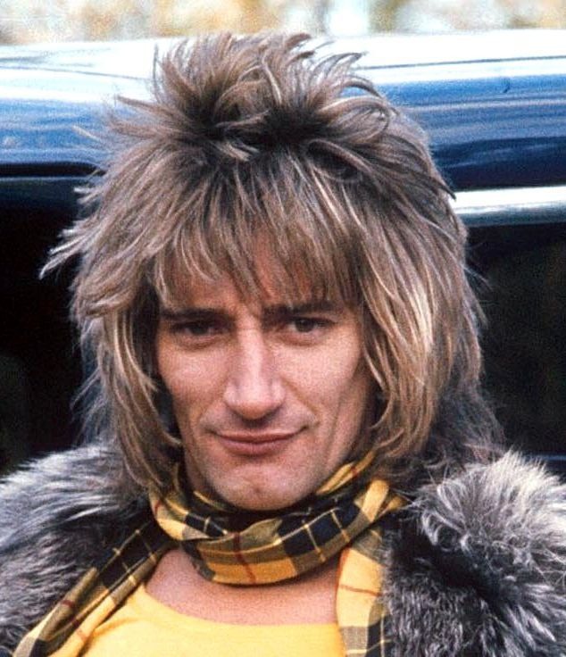 Rod Stewart Mullet